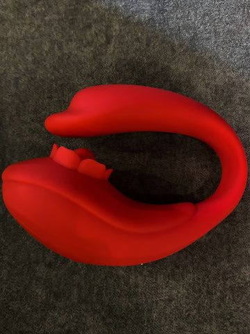 Swan Egg Vibe